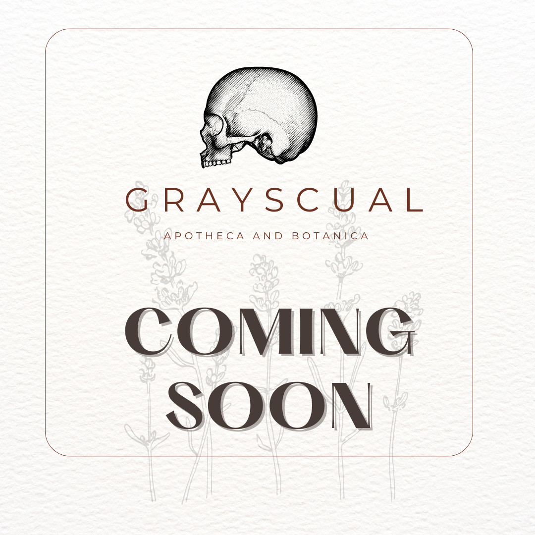 Allspice Leaf (Pimenta Dioica)